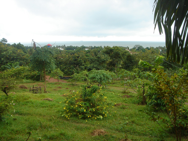 gal/04 - Kep/RIMG1992.jpg